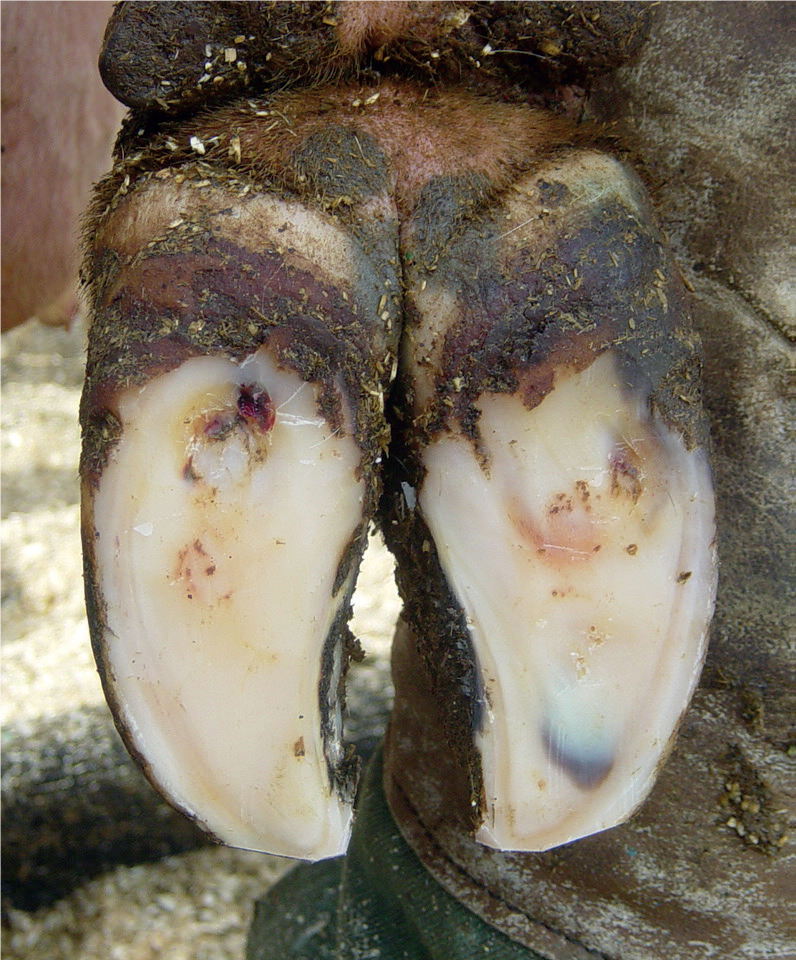 a close-up of a person's foot